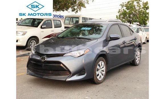 Buy Import Toyota Corolla Grey Car in Import - Dubai in Central