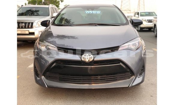 Buy Import Toyota Corolla Grey Car in Import - Dubai in Central Buy Import Toyota Corolla Grey Car in Import - Dubai in Central