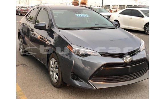 Buy Import Toyota Corolla Grey Car in Import - Dubai in Central Buy Import Toyota Corolla Grey Car in Import - Dubai in Central