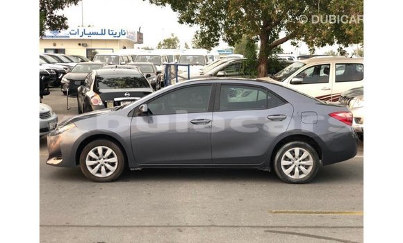 Buy Import Toyota Corolla Grey Car in Import - Dubai in Central Buy Import Toyota Corolla Grey Car in Import - Dubai in Central
