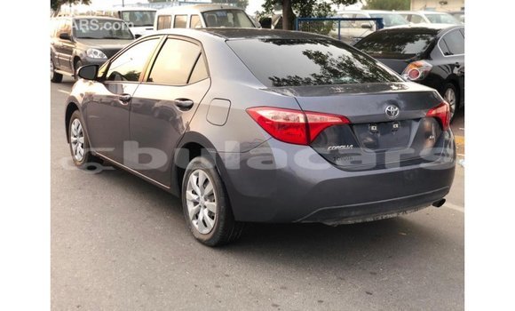 Buy Import Toyota Corolla Grey Car in Import - Dubai in Central Buy Import Toyota Corolla Grey Car in Import - Dubai in Central