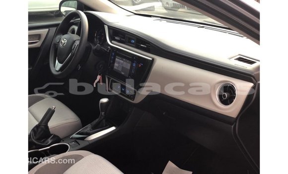 Buy Import Toyota Corolla Grey Car in Import - Dubai in Central Buy Import Toyota Corolla Grey Car in Import - Dubai in Central