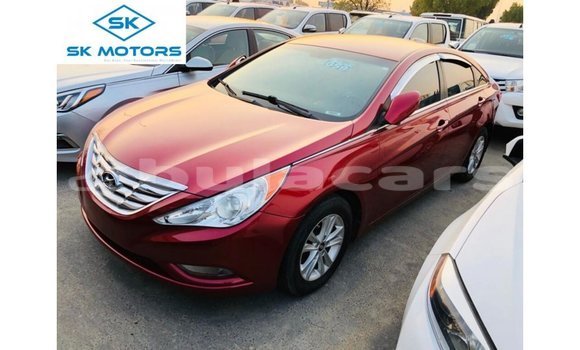 Buy Import Hyundai Sonata Red Car in Import - Dubai in Central