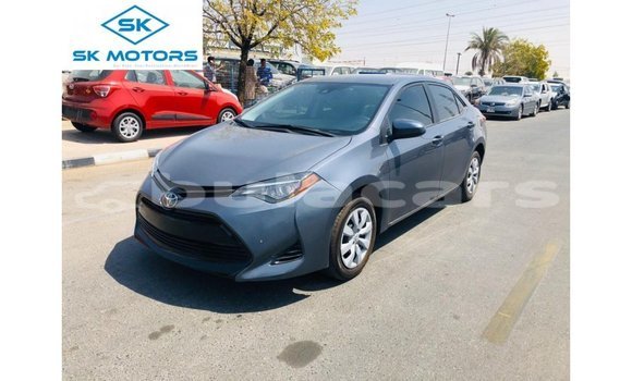 Buy Import Toyota Corolla Grey Car in Import - Dubai in Central Buy Import Toyota Corolla Grey Car in Import - Dubai in Central