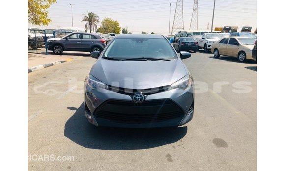 Buy Import Toyota Corolla Grey Car in Import - Dubai in Central Buy Import Toyota Corolla Grey Car in Import - Dubai in Central