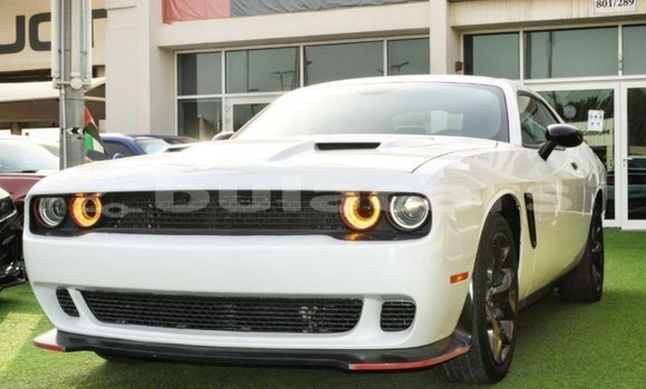 Buy Import Dodge Challenger White Car in Import - Dubai in Central