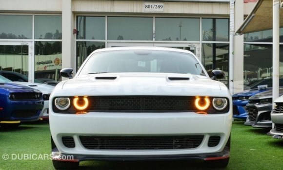 Buy Import Dodge Challenger White Car in Import - Dubai in Central Buy Import Dodge Challenger White Car in Import - Dubai in Central