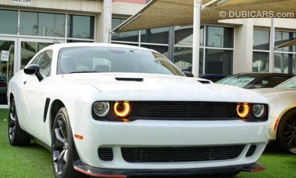 Buy Import Dodge Challenger White Car in Import - Dubai in Central Buy Import Dodge Challenger White Car in Import - Dubai in Central