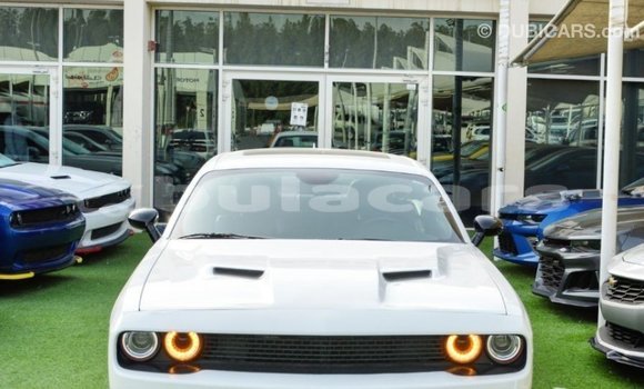 Buy Import Dodge Challenger White Car in Import - Dubai in Central Buy Import Dodge Challenger White Car in Import - Dubai in Central