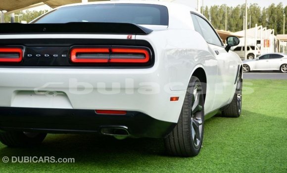 Buy Import Dodge Challenger White Car in Import - Dubai in Central Buy Import Dodge Challenger White Car in Import - Dubai in Central