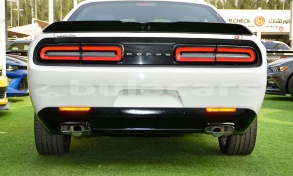 Buy Import Dodge Challenger White Car in Import - Dubai in Central Buy Import Dodge Challenger White Car in Import - Dubai in Central