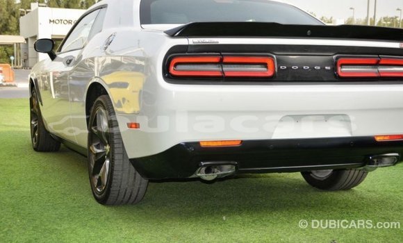 Buy Import Dodge Challenger White Car in Import - Dubai in Central Buy Import Dodge Challenger White Car in Import - Dubai in Central