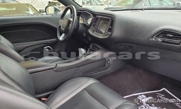 Buy Import Dodge Challenger White Car in Import - Dubai in Central Buy Import Dodge Challenger White Car in Import - Dubai in Central