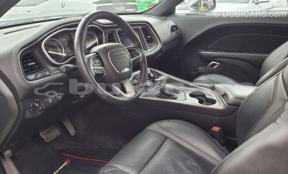 Buy Import Dodge Challenger White Car in Import - Dubai in Central Buy Import Dodge Challenger White Car in Import - Dubai in Central