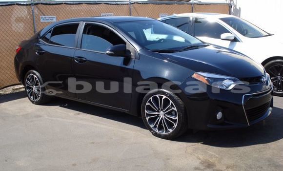 Buy Used Toyota Corolla Other Car in Savusavu in Northern Buy Used Toyota Corolla Other Car in Savusavu in Northern