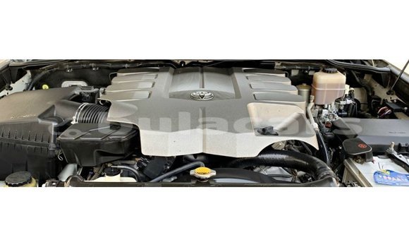 Buy Import Toyota Land Cruiser White Car in Import - Dubai in Central Buy Import Toyota Land Cruiser White Car in Import - Dubai in Central