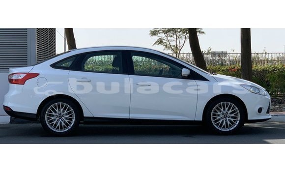 Buy Import Ford Focus White Car in Import - Dubai in Central Buy Import Ford Focus White Car in Import - Dubai in Central