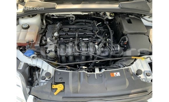 Buy Import Ford Focus White Car in Import - Dubai in Central Buy Import Ford Focus White Car in Import - Dubai in Central