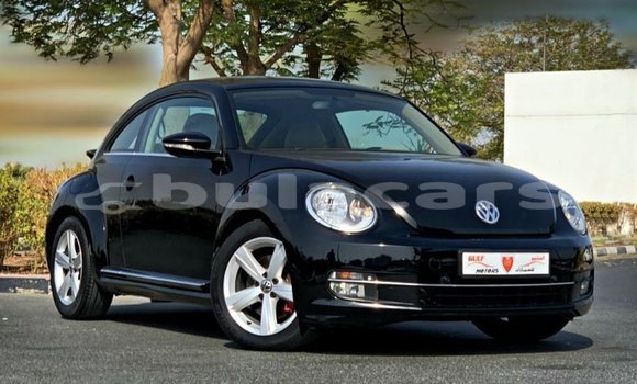 Buy Import Volkswagen Beetle Black Car in Import - Dubai in Central
