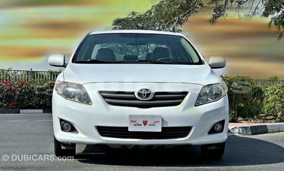 Buy Import Toyota Corolla White Car in Import - Dubai in Central Buy Import Toyota Corolla White Car in Import - Dubai in Central