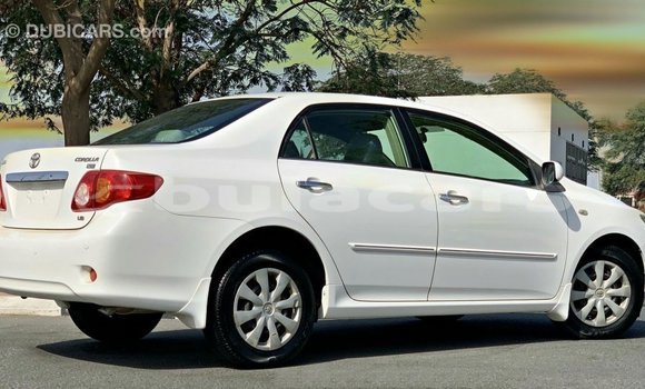 Buy Import Toyota Corolla White Car in Import - Dubai in Central Buy Import Toyota Corolla White Car in Import - Dubai in Central