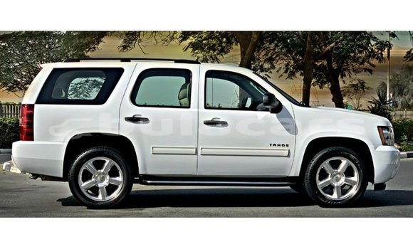 Buy Import Chevrolet Tahoe White Car in Import - Dubai in Central Buy Import Chevrolet Tahoe White Car in Import - Dubai in Central
