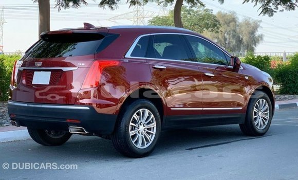 Buy Import Cadillac XT5 Red Car in Import - Dubai in Central Buy Import Cadillac XT5 Red Car in Import - Dubai in Central