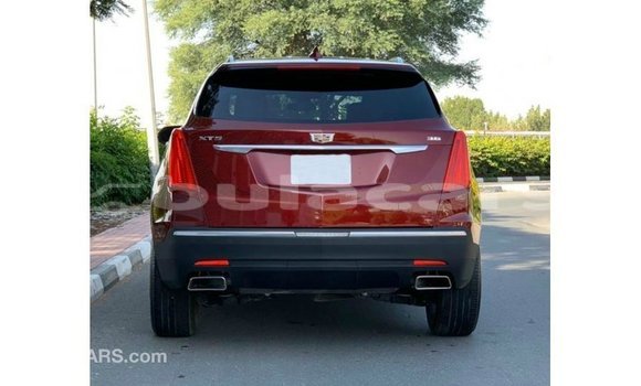 Buy Import Cadillac XT5 Red Car in Import - Dubai in Central Buy Import Cadillac XT5 Red Car in Import - Dubai in Central