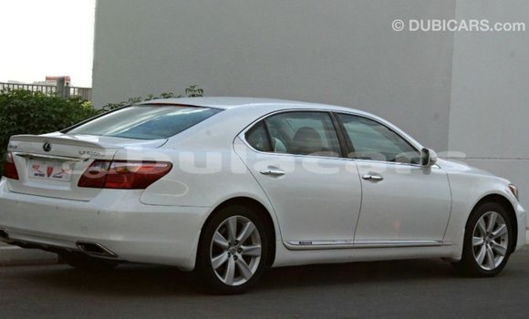 Buy Import Lexus LS White Car in Import - Dubai in Central Buy Import Lexus LS White Car in Import - Dubai in Central