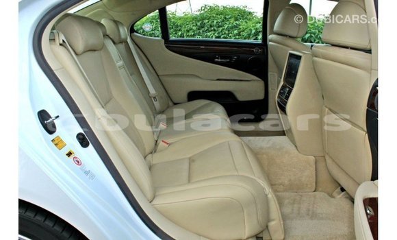 Buy Import Lexus LS White Car in Import - Dubai in Central Buy Import Lexus LS White Car in Import - Dubai in Central