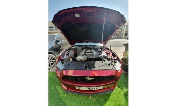 Buy Import Ford Mustang Red Car in Import - Dubai in Central Buy Import Ford Mustang Red Car in Import - Dubai in Central