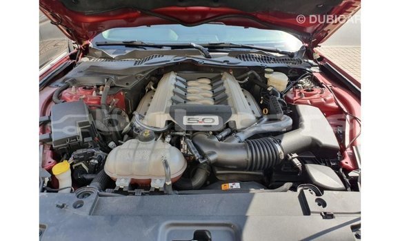 Buy Import Ford Mustang Red Car in Import - Dubai in Central Buy Import Ford Mustang Red Car in Import - Dubai in Central