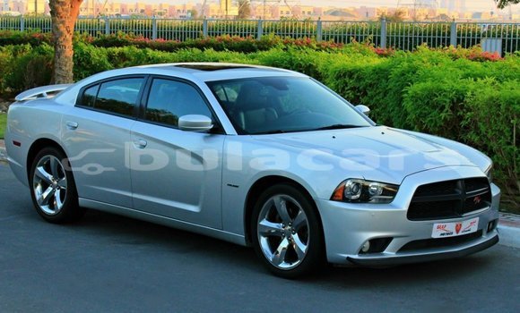 Buy Import Dodge Charger Grey Car in Import - Dubai in Central
