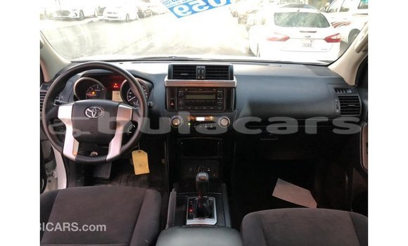 Buy Import Toyota Prado White Car in Import - Dubai in Central Buy Import Toyota Prado White Car in Import - Dubai in Central