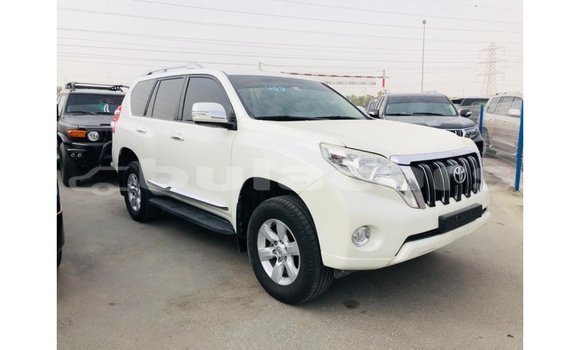 Buy Import Toyota Prado White Car in Import - Dubai in Central