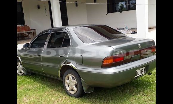 Buy Used Toyota Sprinter Other Car in Suva in Central
