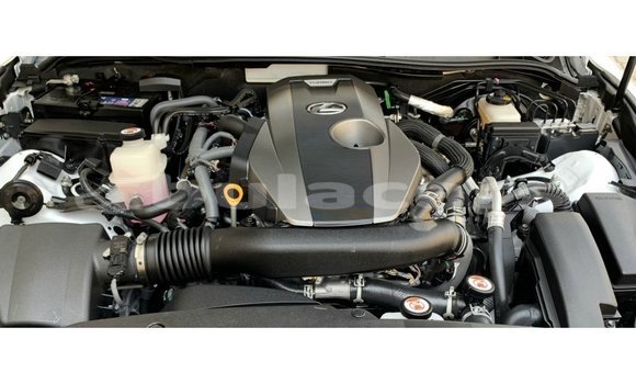 Buy Import Lexus IS White Car in Import - Dubai in Central Buy Import Lexus IS White Car in Import - Dubai in Central