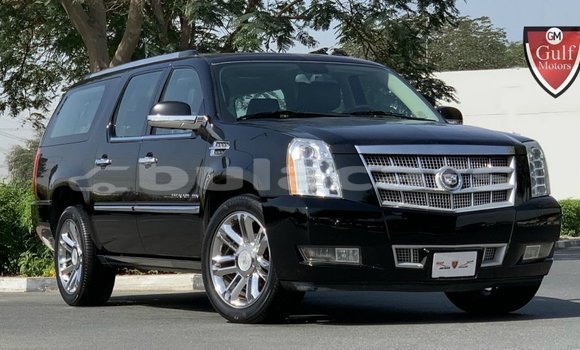 Buy Import Cadillac Escalade Black Car in Import - Dubai in Central