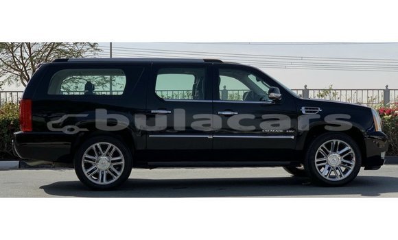 Buy Import Cadillac Escalade Black Car in Import - Dubai in Central Buy Import Cadillac Escalade Black Car in Import - Dubai in Central