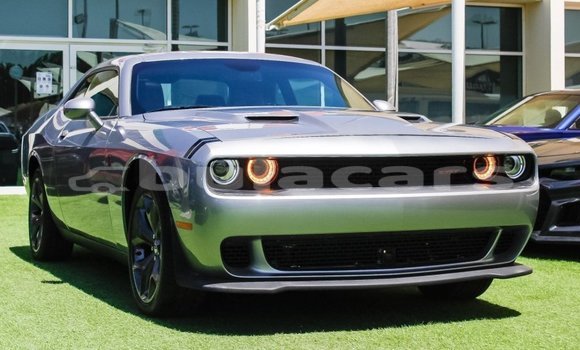 Buy Import Dodge Challenger Grey Car in Import - Dubai in Central