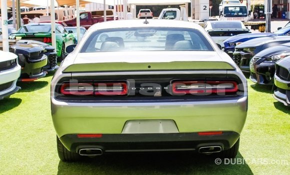 Buy Import Dodge Challenger Grey Car in Import - Dubai in Central Buy Import Dodge Challenger Grey Car in Import - Dubai in Central