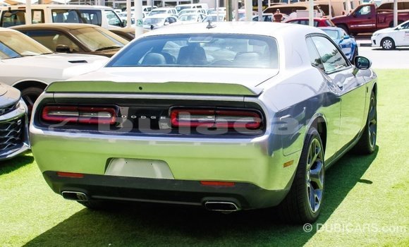 Buy Import Dodge Challenger Grey Car in Import - Dubai in Central Buy Import Dodge Challenger Grey Car in Import - Dubai in Central
