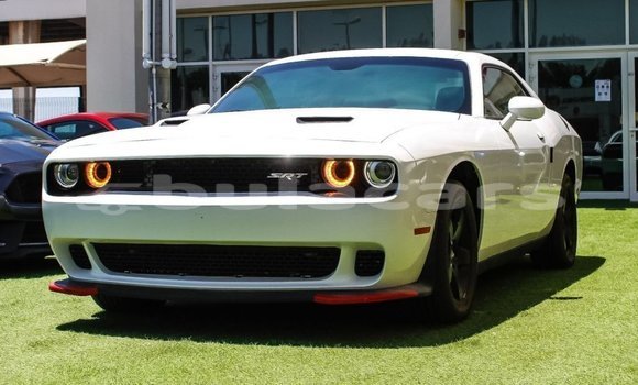 Buy Import Dodge Challenger White Car in Import - Dubai in Central