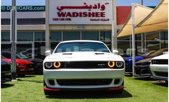 Buy Import Dodge Challenger White Car in Import - Dubai in Central Buy Import Dodge Challenger White Car in Import - Dubai in Central