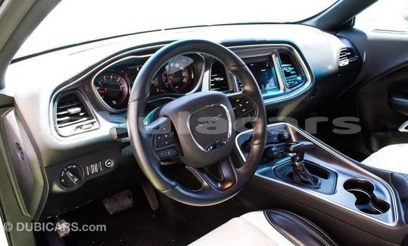 Buy Import Dodge Challenger White Car in Import - Dubai in Central Buy Import Dodge Challenger White Car in Import - Dubai in Central