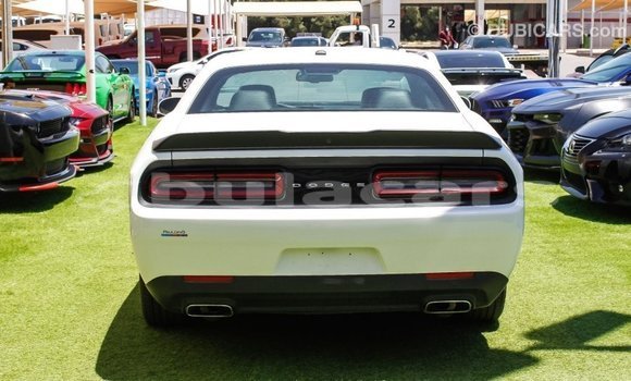 Buy Import Dodge Challenger White Car in Import - Dubai in Central Buy Import Dodge Challenger White Car in Import - Dubai in Central