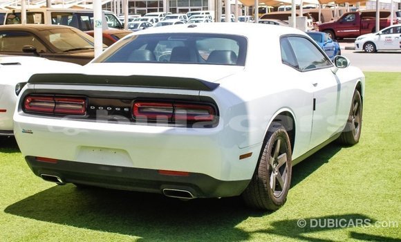 Buy Import Dodge Challenger White Car in Import - Dubai in Central Buy Import Dodge Challenger White Car in Import - Dubai in Central