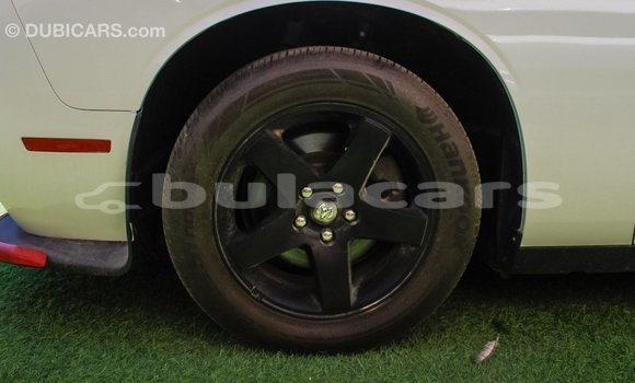Buy Import Dodge Challenger White Car in Import - Dubai in Central Buy Import Dodge Challenger White Car in Import - Dubai in Central