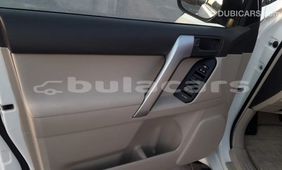 Buy Import Toyota Prado White Car in Import - Dubai in Central Buy Import Toyota Prado White Car in Import - Dubai in Central