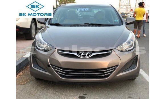 Buy Import Hyundai Elantra Brown Car in Import - Dubai in Central